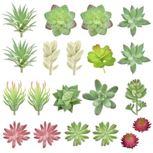Load image into Gallery viewer, 20 Pack - Mixed Small Succulent Bundle