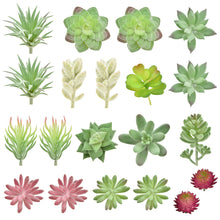 Load image into Gallery viewer, 20 Pack - Mixed Succulent Bundle
