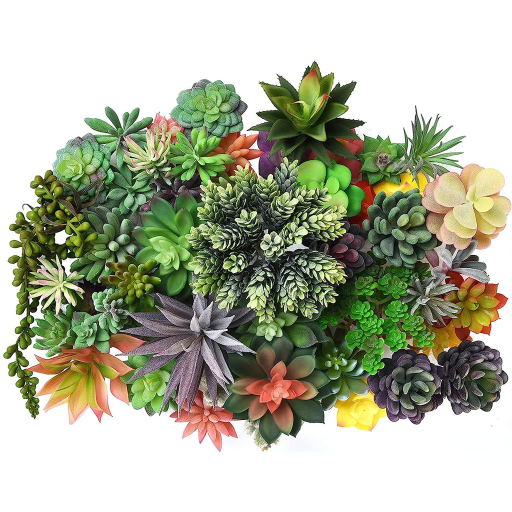 50 Pack - Mixed Artificial Succulents
