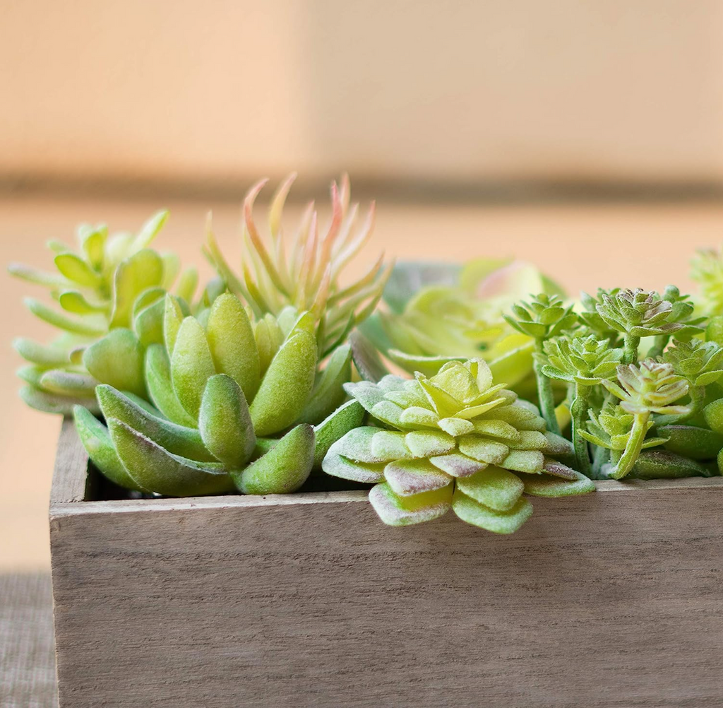 fake succulent plants bulk 50 Pack