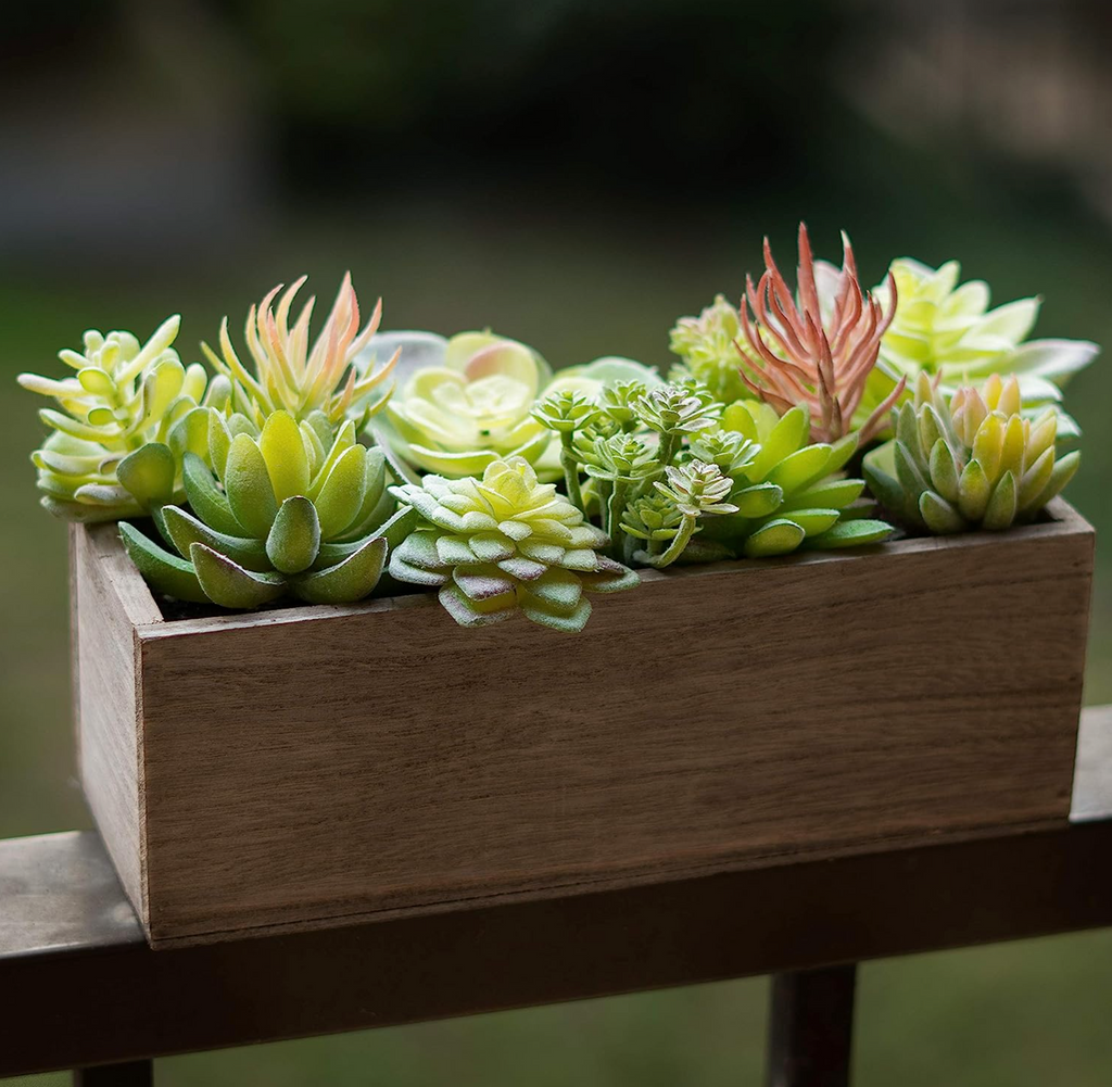 35 Pack - Mixed Artificial Succulents