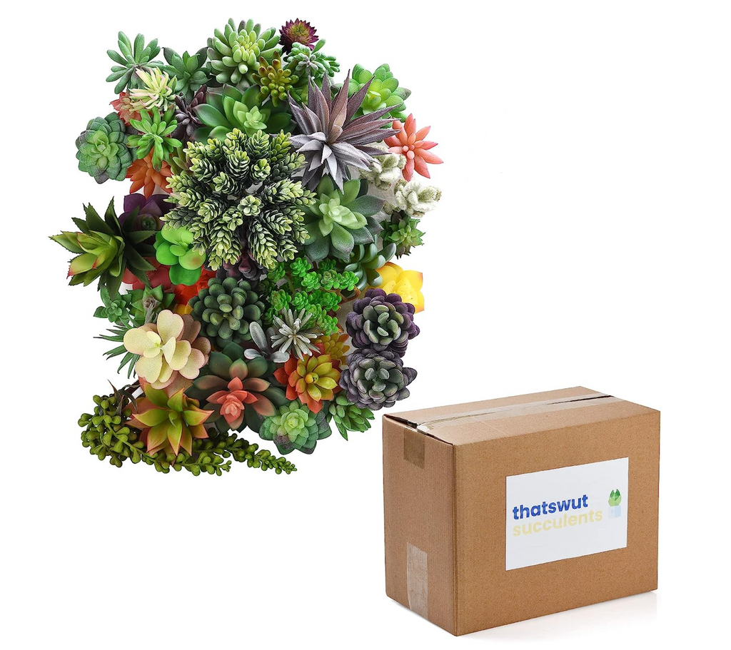 50 Pack - Mixed Artificial Succulents