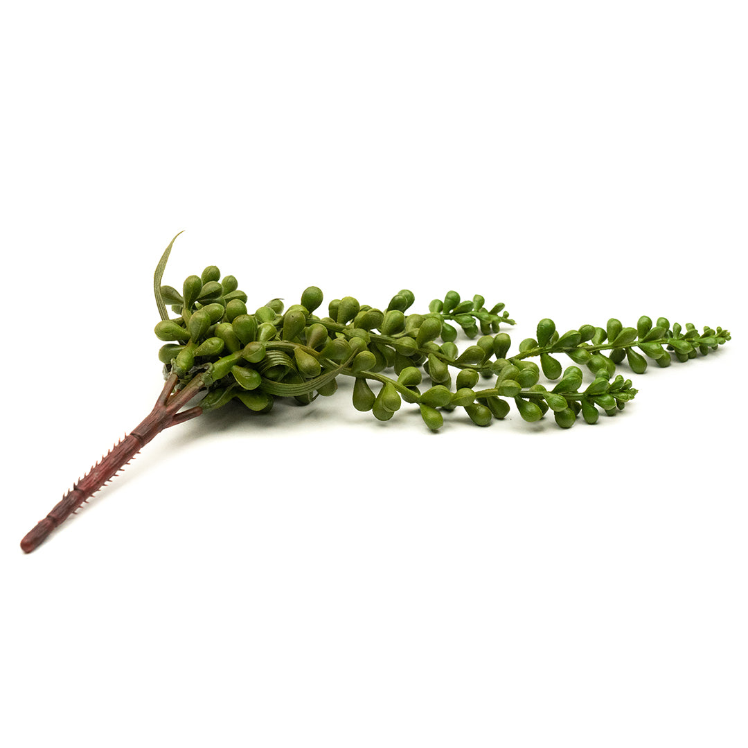 String of Pearls
