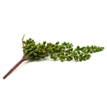 Load image into Gallery viewer, String of Pearls
