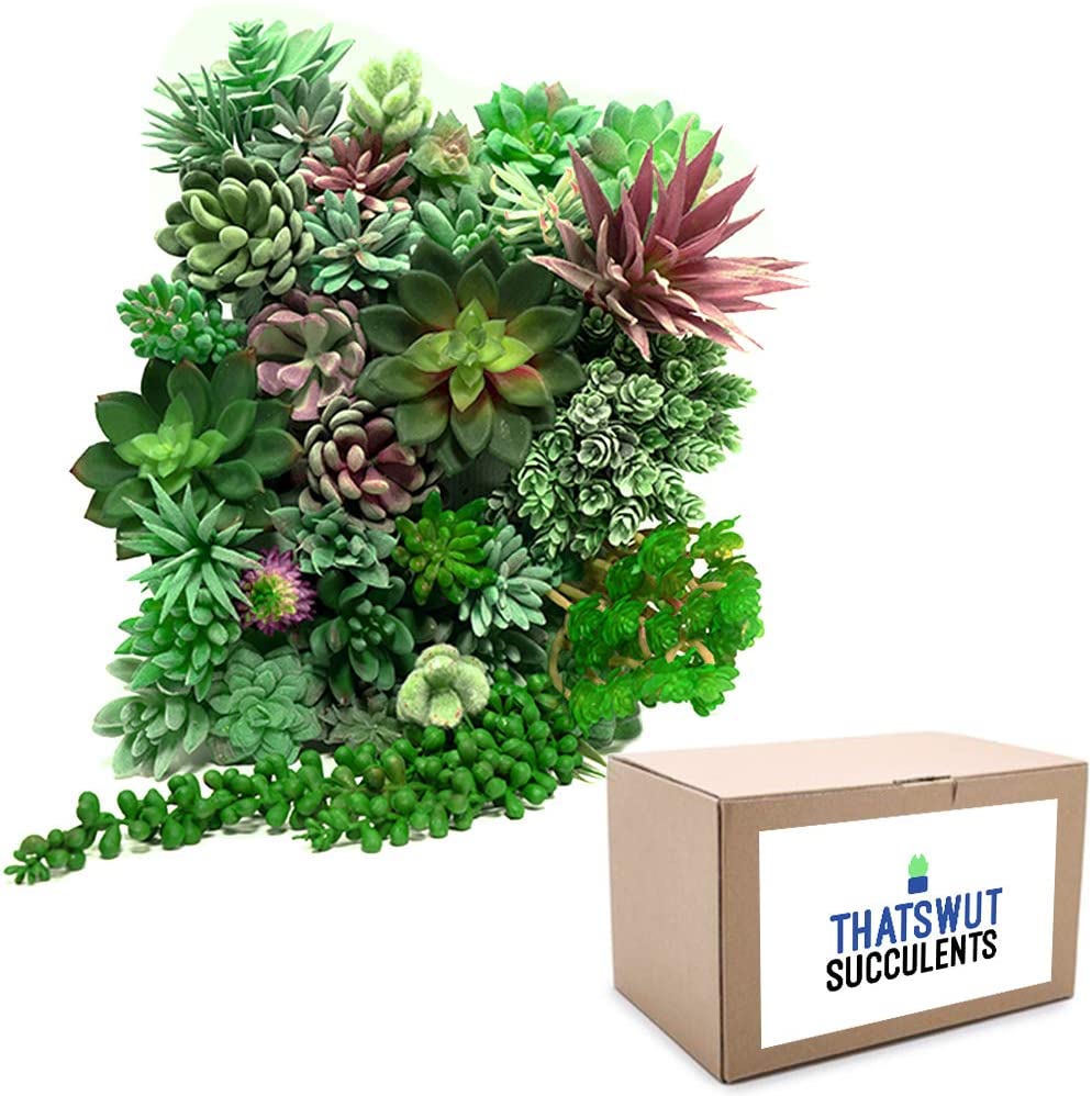 35 Pack - Mixed Artificial Succulents