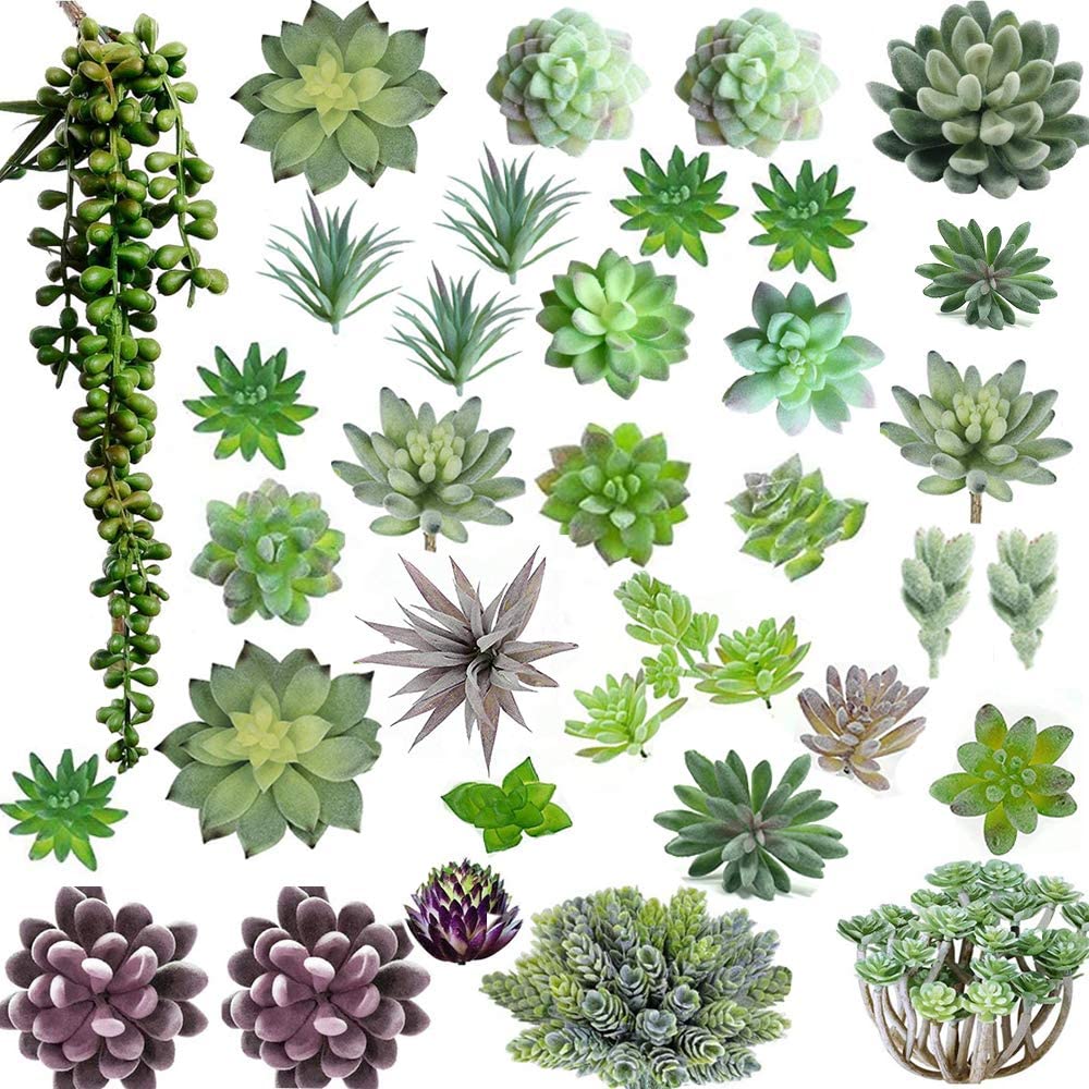 35 Pack - Mixed Artificial Succulents