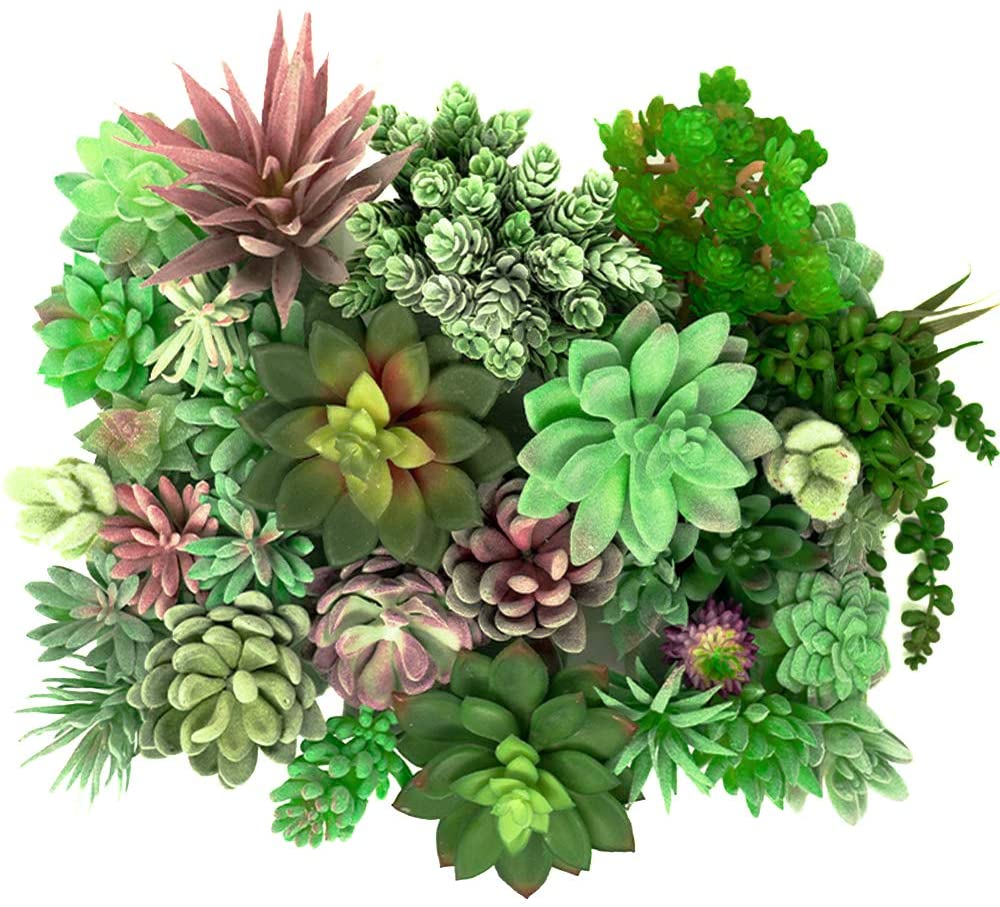 35 Pack - Mixed Artificial Succulents
