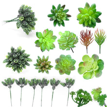 Load image into Gallery viewer, 12 Pack - Mixed Succulent Bundle
