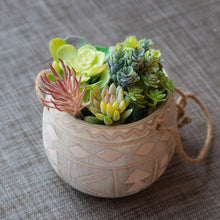 Load image into Gallery viewer, 12 Pack - Mixed Succulent Bundle
