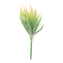 Load image into Gallery viewer, Tilandsia Rubra
