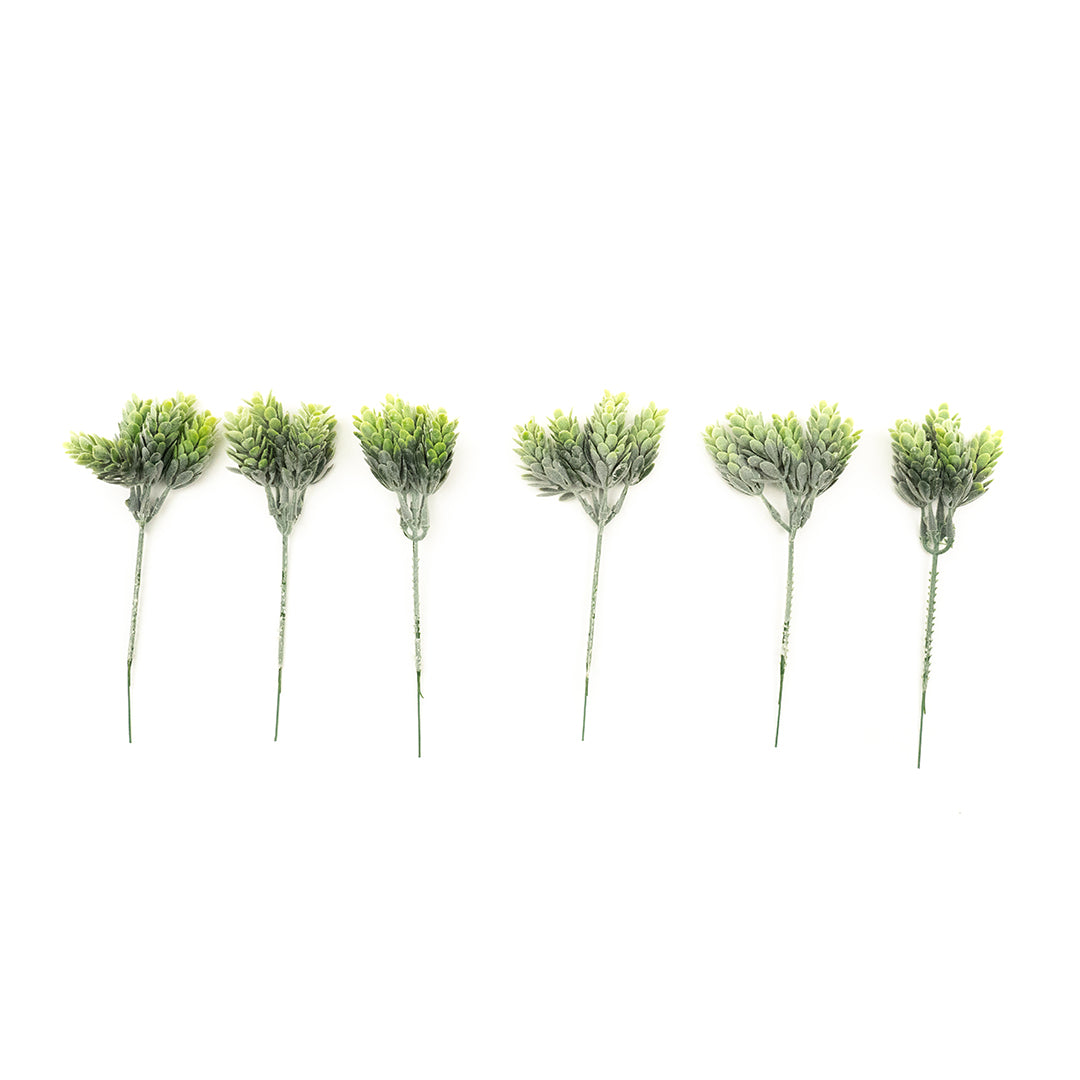 Pineapple Grass