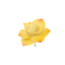 Load image into Gallery viewer, Echevaria Yellow
