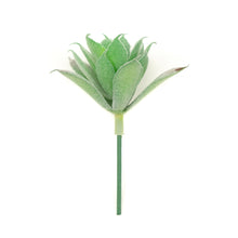 Load image into Gallery viewer, Aeonium Castello
